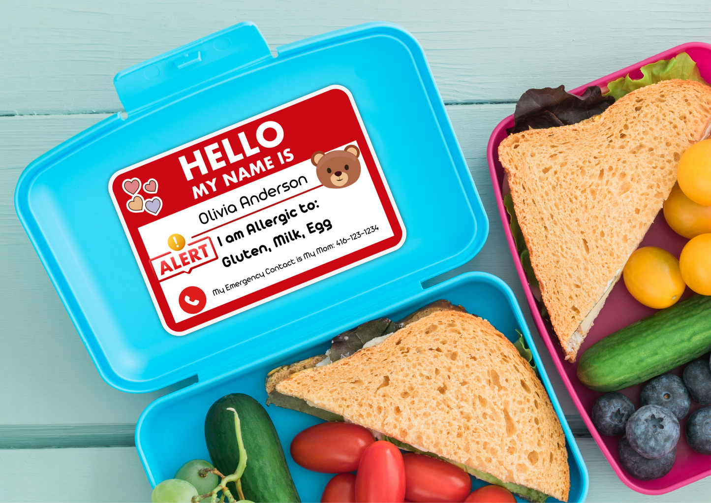 Kids Allergy Alert Custom Set of Labels for School Supply, Daycare, Preschool, Storage and more