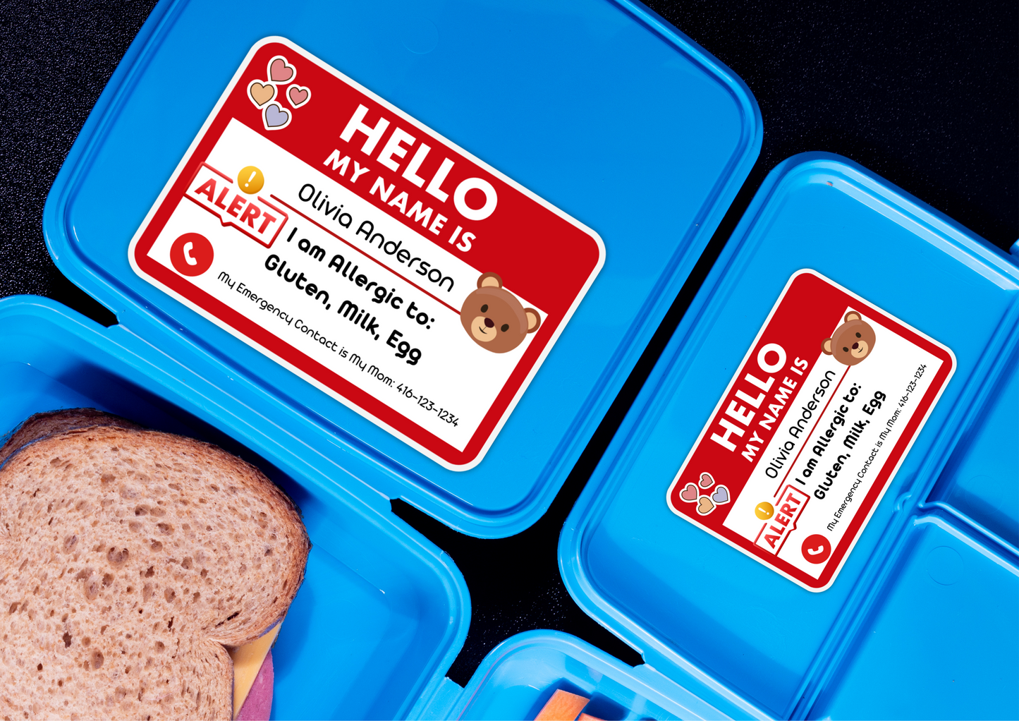 Kids Allergy Alert Custom Set of Labels for School Supply, Daycare, Preschool, Storage and more